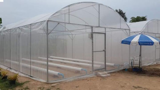 بيوت بلاستيكيه للزراعه بدون تربه